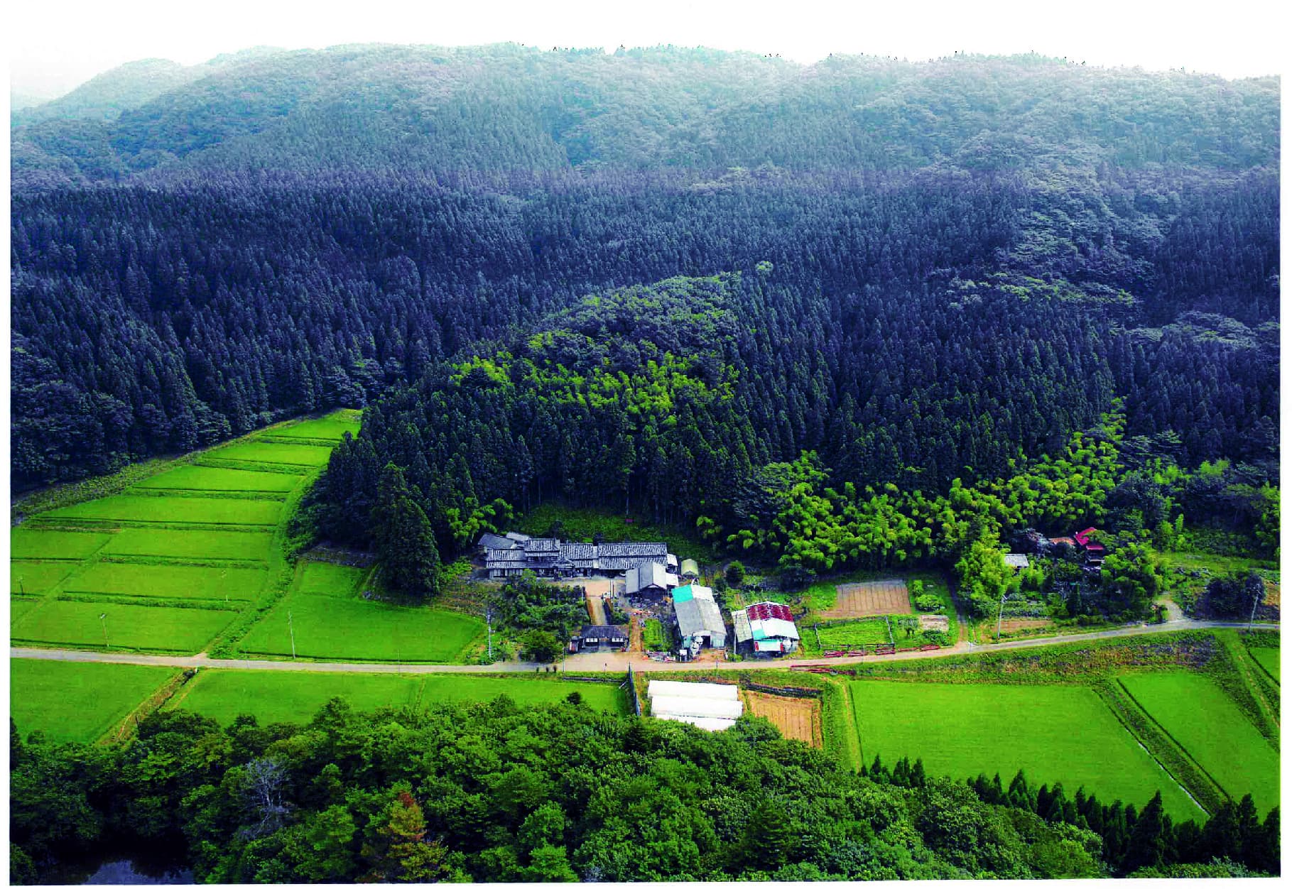 宮城県.特別栽培米.新米.農家直送.だて正夢.つや姫.贈答用.ギフト.お中元.お歳暮.公式ライン.高館ファーム