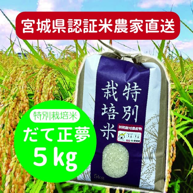 宮城県.特別栽培米.新米.農家直送.だて正夢.５kg